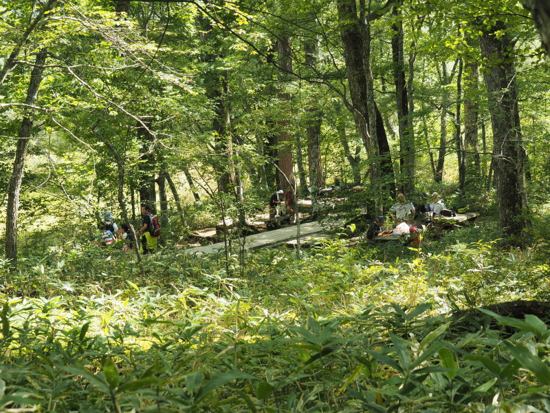 f:id:sabuyan1953:20190918224141j:plain f:id:sabuyan1953:20190918224141j:plain