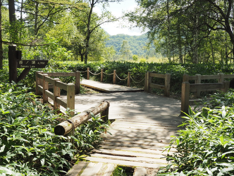 f:id:sabuyan1953:20190919210017j:plain f:id:sabuyan1953:20190919210017j:plain