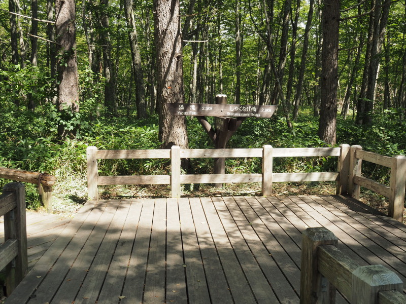 f:id:sabuyan1953:20190919210036j:plain f:id:sabuyan1953:20190919210036j:plain