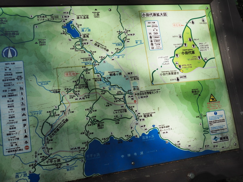 f:id:sabuyan1953:20190919210052j:plain f:id:sabuyan1953:20190919210052j:plain