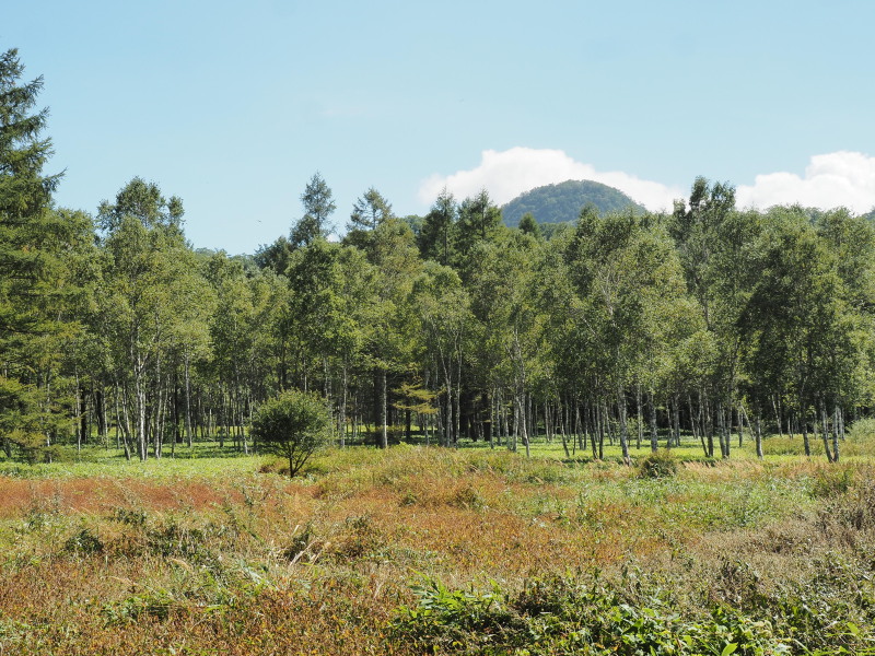 f:id:sabuyan1953:20190921215558j:plain f:id:sabuyan1953:20190921215558j:plain