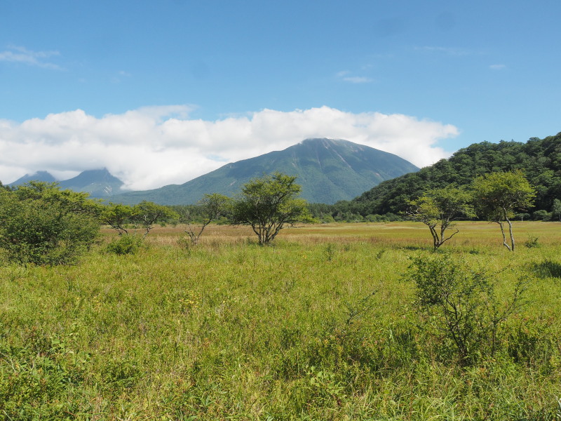 f:id:sabuyan1953:20190922215804j:plain f:id:sabuyan1953:20190922215804j:plain