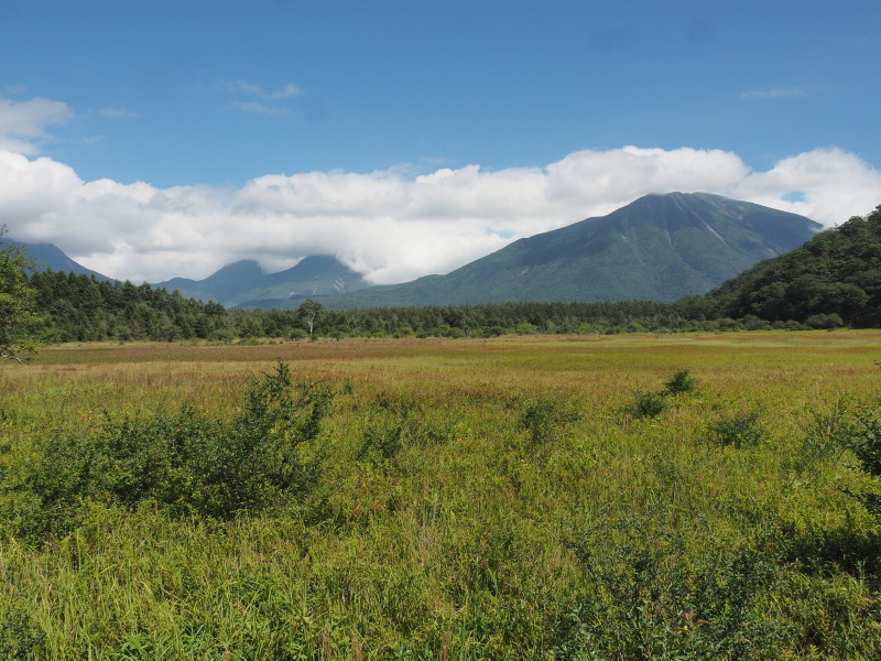 f:id:sabuyan1953:20190922215954j:plain f:id:sabuyan1953:20190922215954j:plain