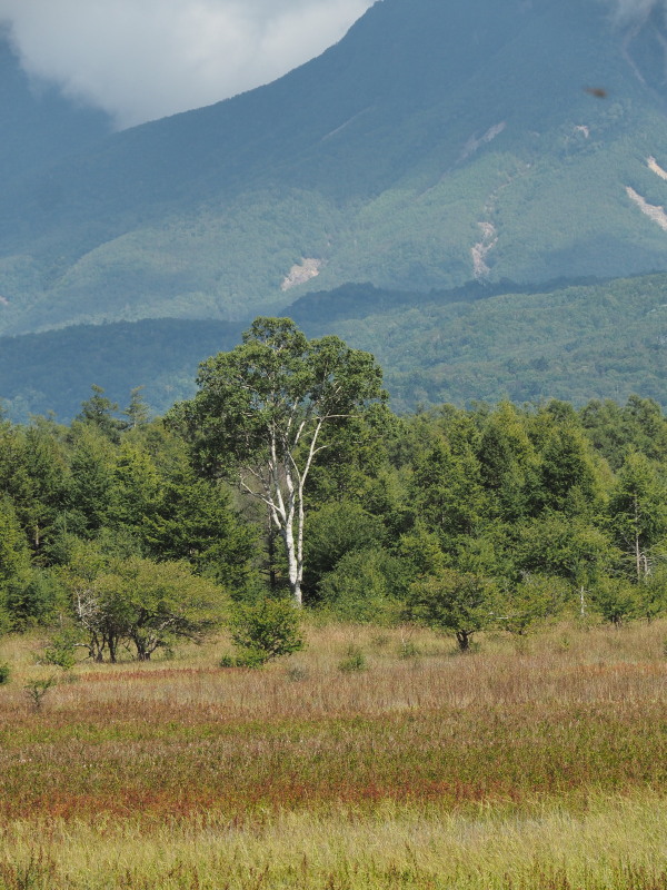 f:id:sabuyan1953:20190922220101j:plain f:id:sabuyan1953:20190922220101j:plain