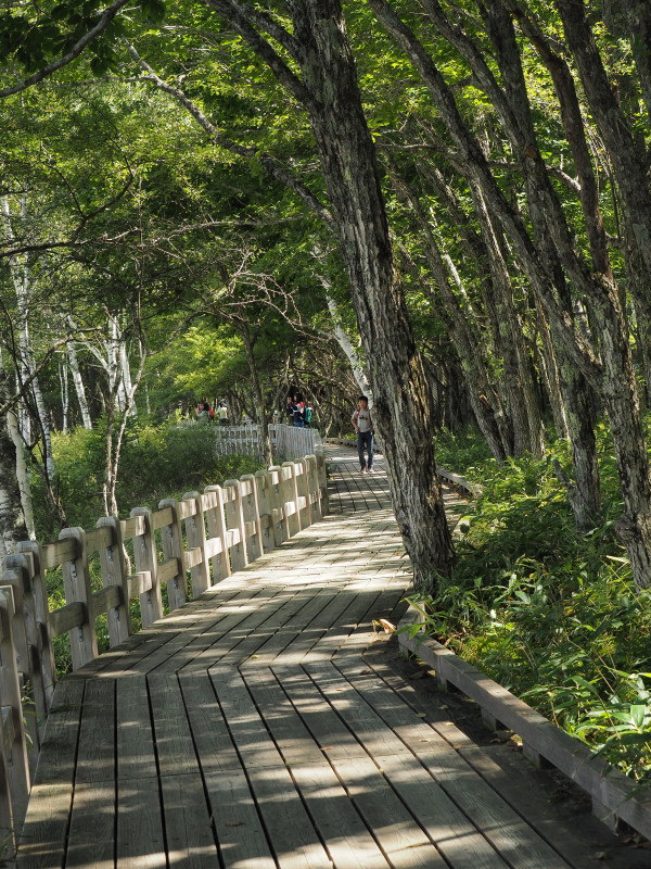 f:id:sabuyan1953:20190922220322j:plain f:id:sabuyan1953:20190922220322j:plain