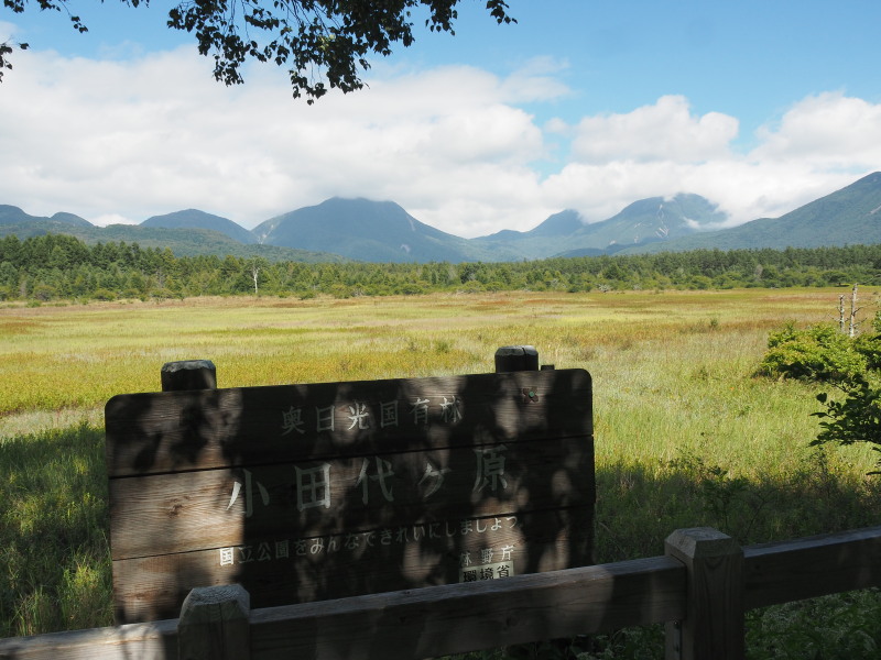 f:id:sabuyan1953:20190922220427j:plain f:id:sabuyan1953:20190922220427j:plain