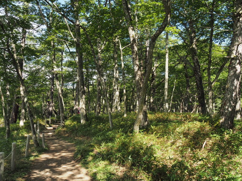 f:id:sabuyan1953:20190922220606j:plain f:id:sabuyan1953:20190922220606j:plain