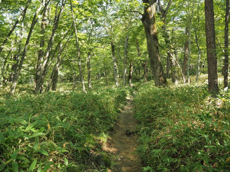 f:id:sabuyan1953:20190922220649j:plain f:id:sabuyan1953:20190922220649j:plain