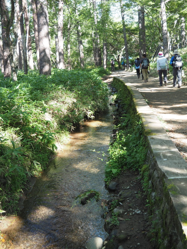 f:id:sabuyan1953:20190922220743j:plain f:id:sabuyan1953:20190922220743j:plain