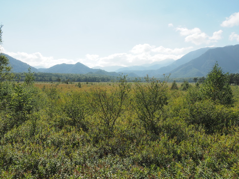 f:id:sabuyan1953:20190923151211j:plain f:id:sabuyan1953:20190923151211j:plain