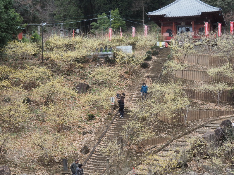 f:id:sabuyan1953:20200125233747j:plain