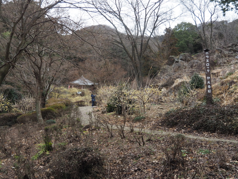 f:id:sabuyan1953:20200129220553j:plain