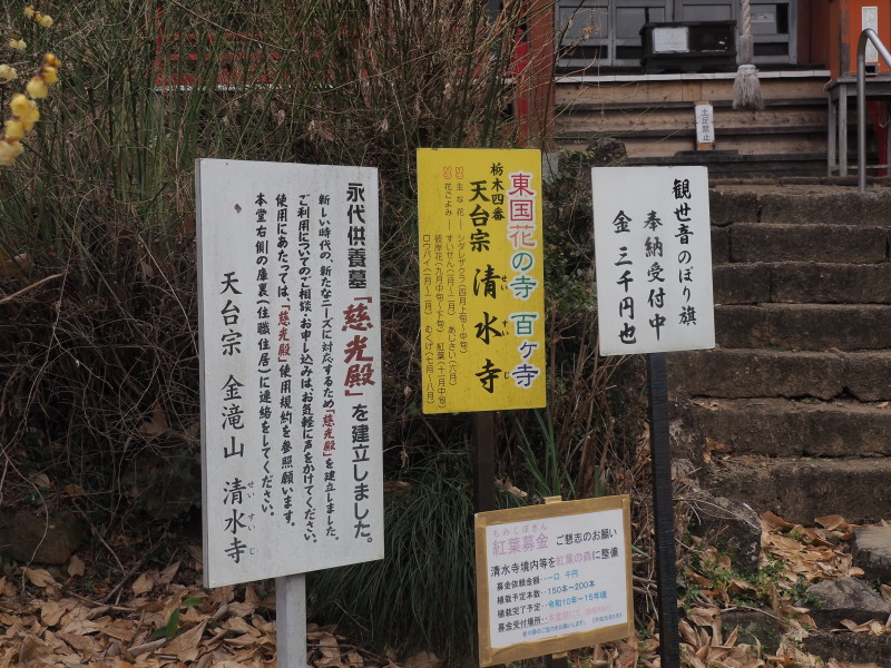 f:id:sabuyan1953:20200129220942j:plain