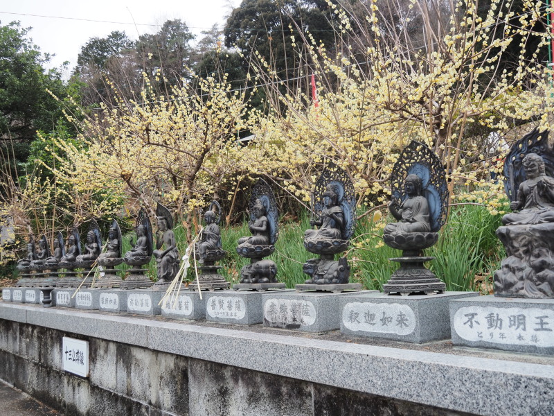 f:id:sabuyan1953:20200129221351j:plain