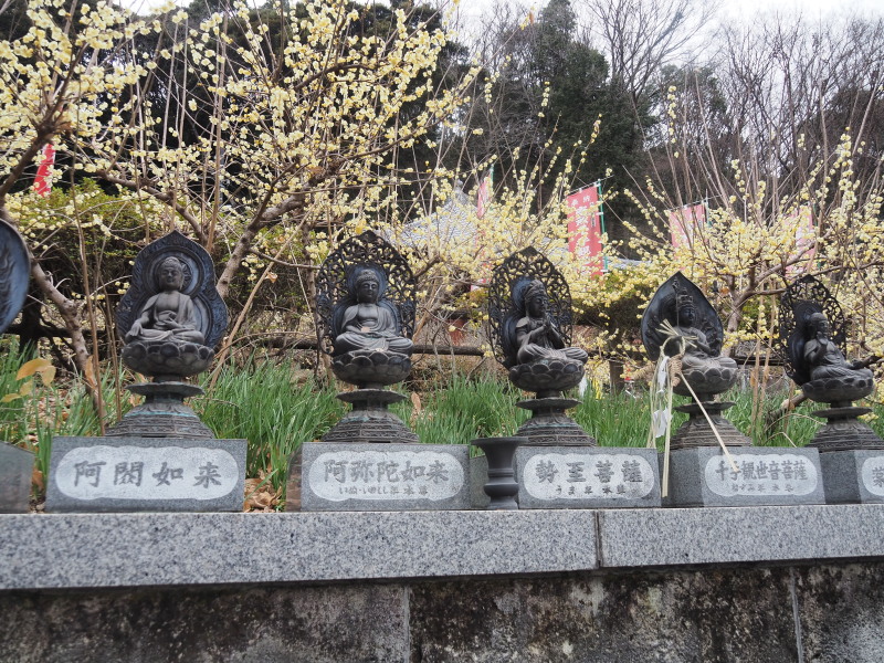 f:id:sabuyan1953:20200129221431j:plain