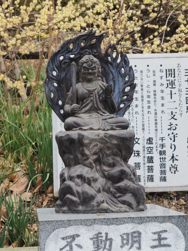 f:id:sabuyan1953:20200129221458j:plain