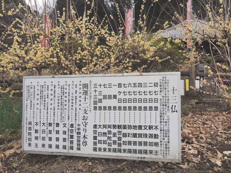 f:id:sabuyan1953:20200129221528j:plain