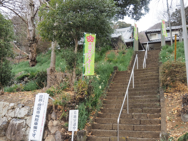 f:id:sabuyan1953:20200129222630j:plain