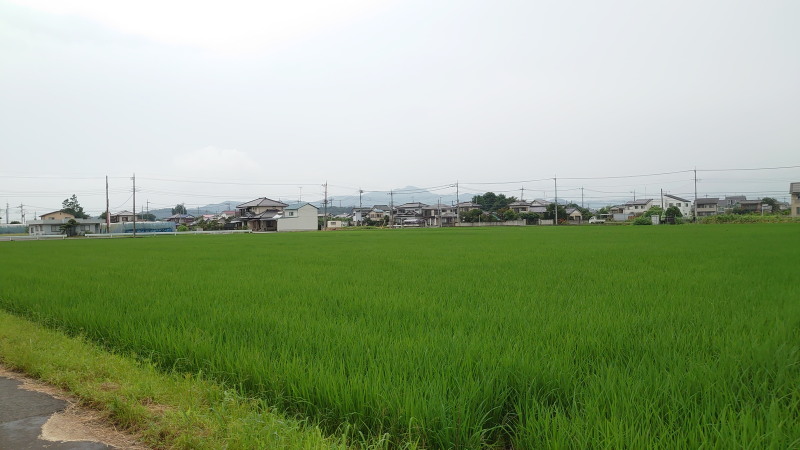 f:id:sabuyan1953:20200728202504j:plain f:id:sabuyan1953:20200728202504j:plain