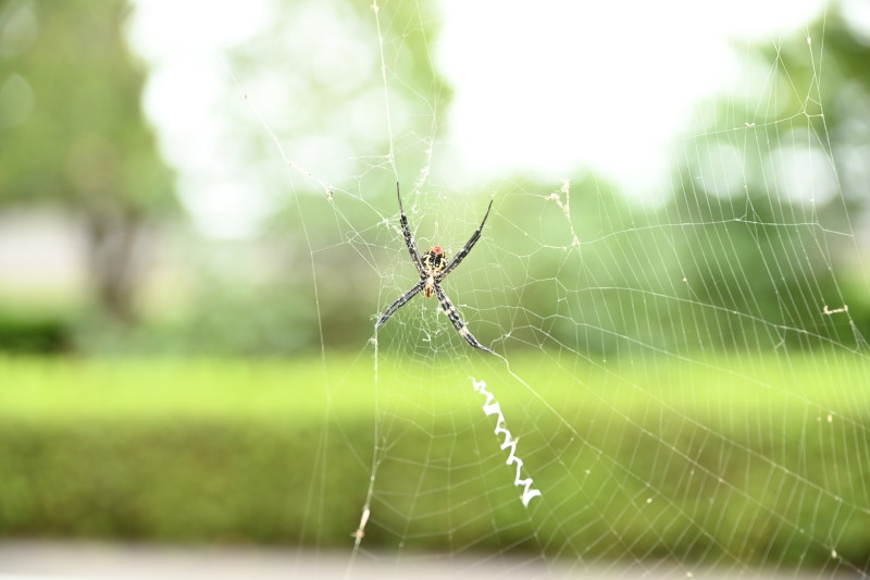 f:id:sabuyan1953:20200920220342j:plain f:id:sabuyan1953:20200920220342j:plain