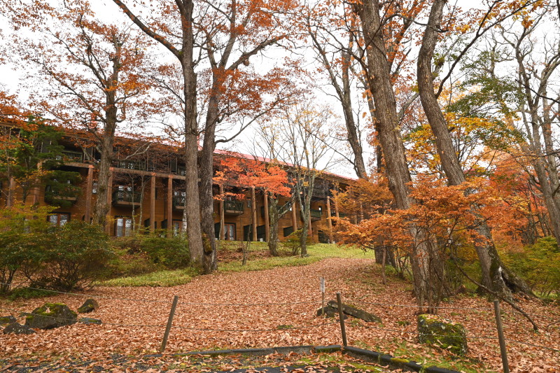 f:id:sabuyan1953:20201121154230j:plain