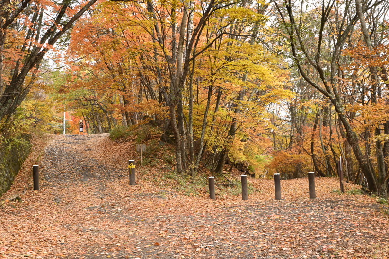 f:id:sabuyan1953:20201121154447j:plain