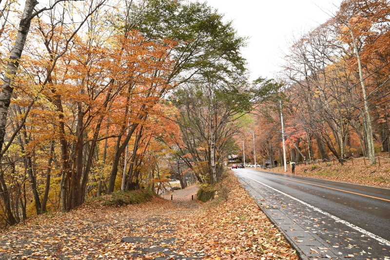 f:id:sabuyan1953:20201121154525j:plain