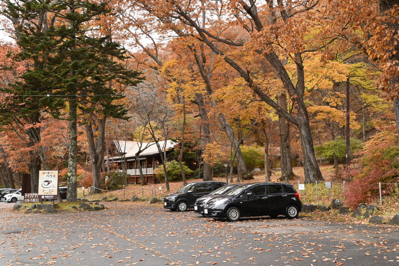 f:id:sabuyan1953:20201121154741j:plain