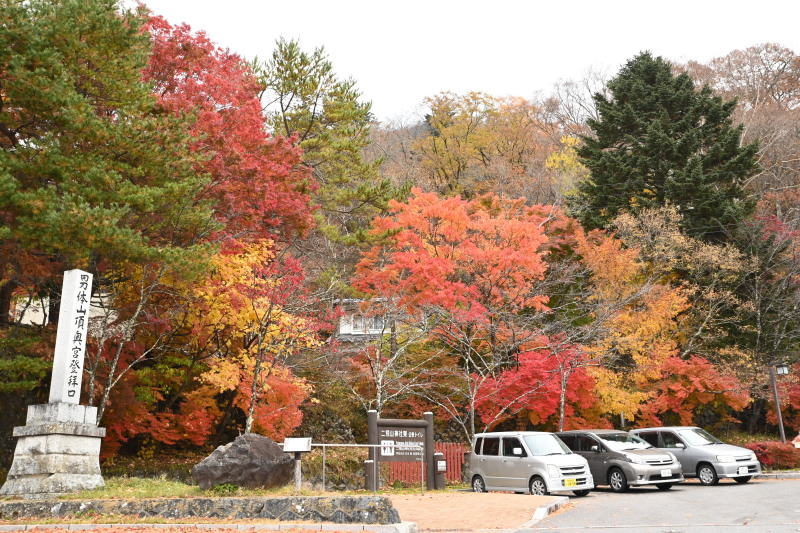 f:id:sabuyan1953:20201121173558j:plain