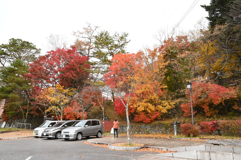 f:id:sabuyan1953:20201121173609j:plain