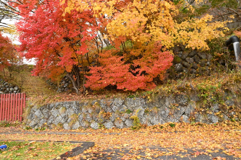 f:id:sabuyan1953:20201121173642j:plain