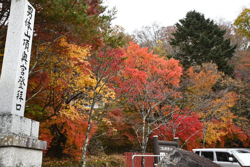 f:id:sabuyan1953:20201121173656j:plain