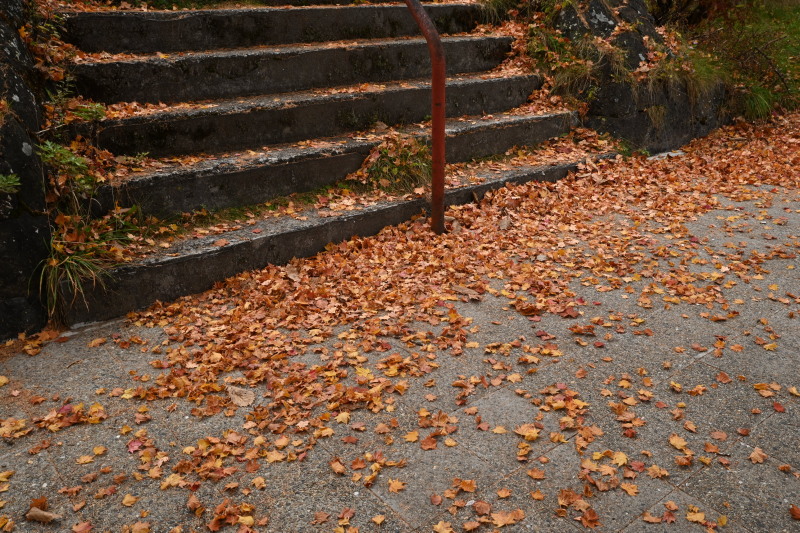 f:id:sabuyan1953:20201121173723j:plain