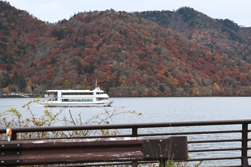 f:id:sabuyan1953:20201121173758j:plain