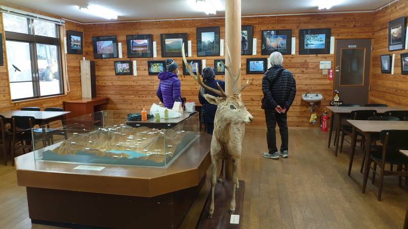 f:id:sabuyan1953:20201121183737j:plain