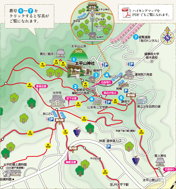 f:id:sabuyan1953:20210411134435g:plain