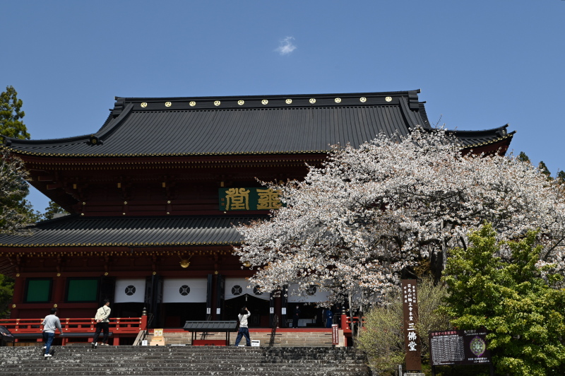 f:id:sabuyan1953:20210420190456j:plain