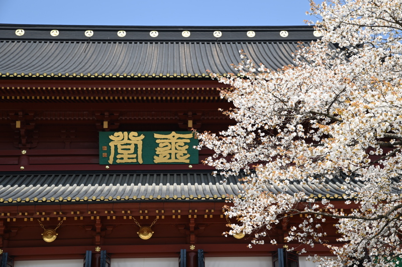 f:id:sabuyan1953:20210420203257j:plain