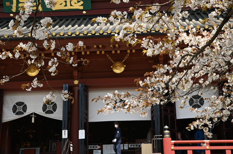 f:id:sabuyan1953:20210420203404j:plain