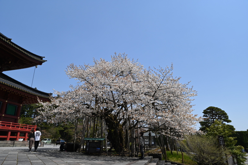 f:id:sabuyan1953:20210420203421j:plain