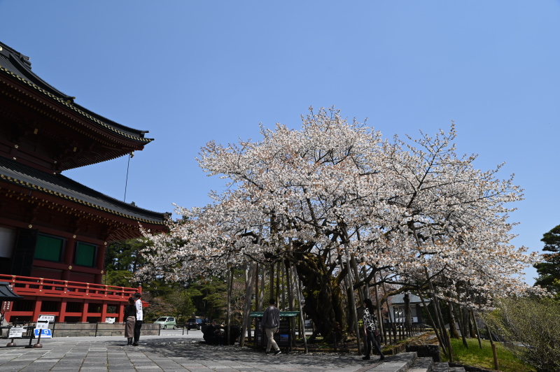 f:id:sabuyan1953:20210420203459j:plain