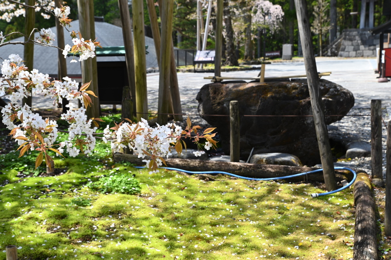 f:id:sabuyan1953:20210420203540j:plain