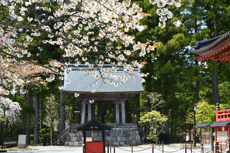 f:id:sabuyan1953:20210420203754j:plain