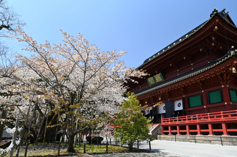 f:id:sabuyan1953:20210420203851j:plain