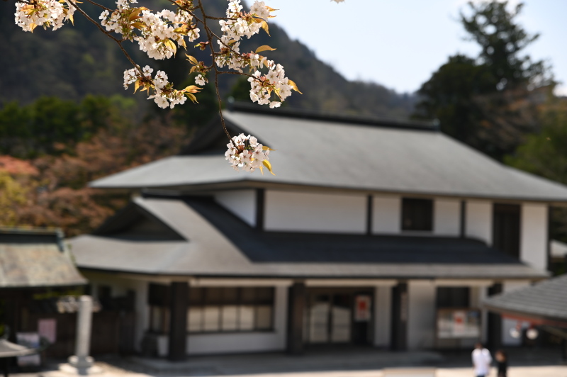 f:id:sabuyan1953:20210420204224j:plain