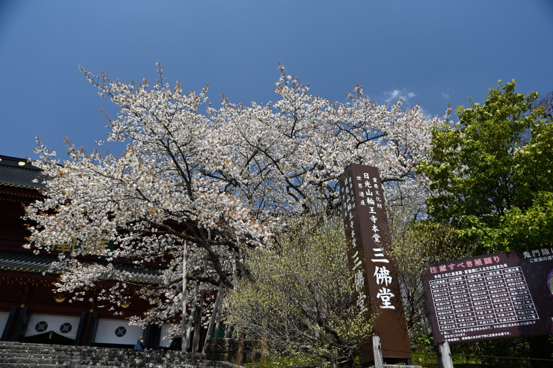 f:id:sabuyan1953:20210420204306j:plain