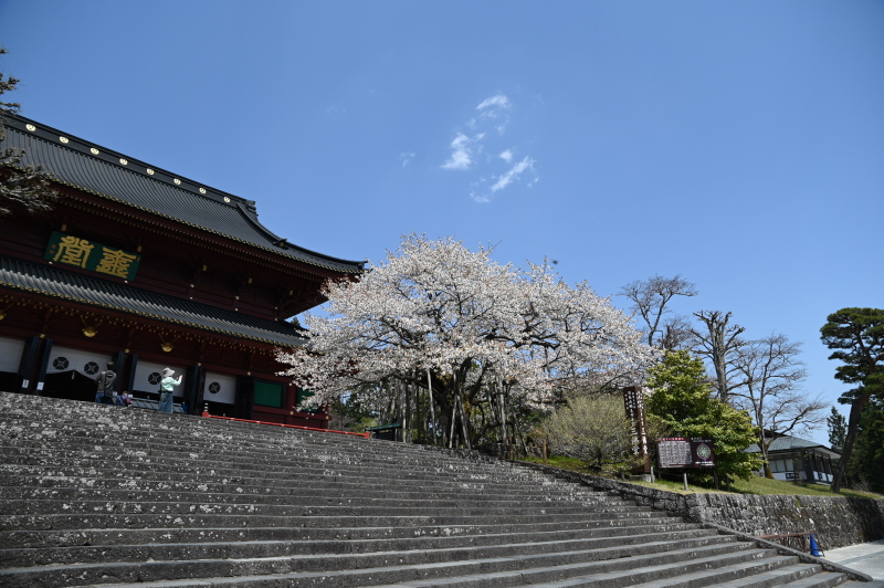 f:id:sabuyan1953:20210420204340j:plain