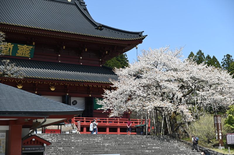 f:id:sabuyan1953:20210420204646j:plain