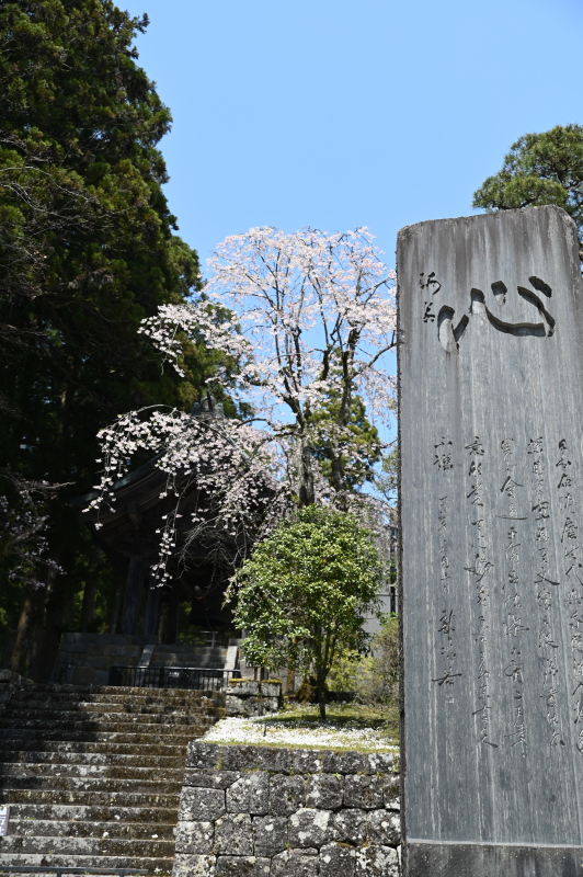 f:id:sabuyan1953:20210420204721j:plain