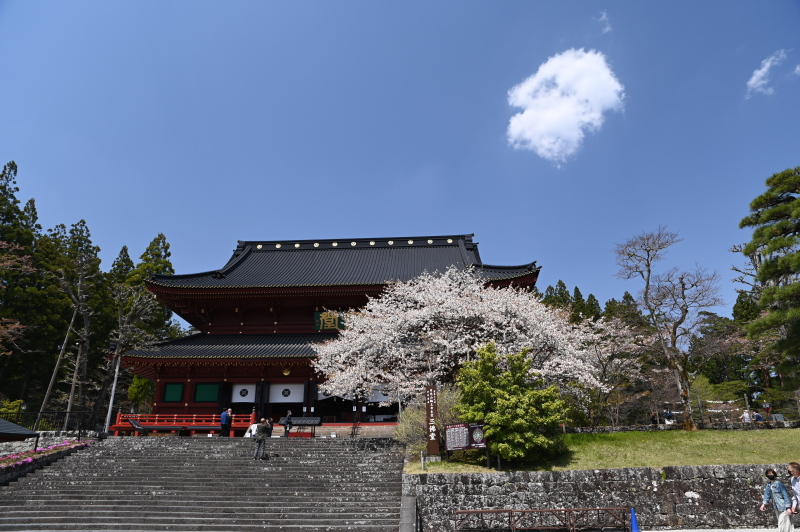 f:id:sabuyan1953:20210420204953j:plain